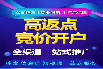SEM搜索引擎优化成功案例，揭示优化策略与技巧